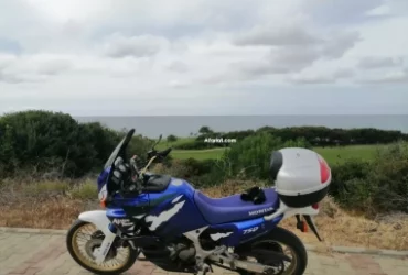 Africa twin | afariat.com
