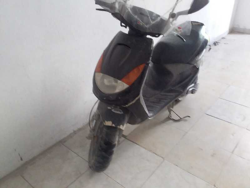 vivacity 98741194
