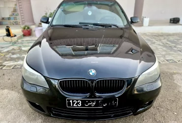 Bmw e60 525 d | afariat.com