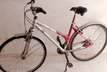 بسكلات