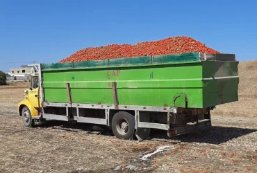Berliet 190 | afariat.com
