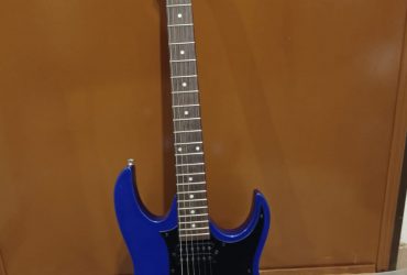 🎸 guitare