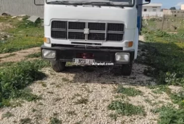 Camion fiat 110 | afariat.com