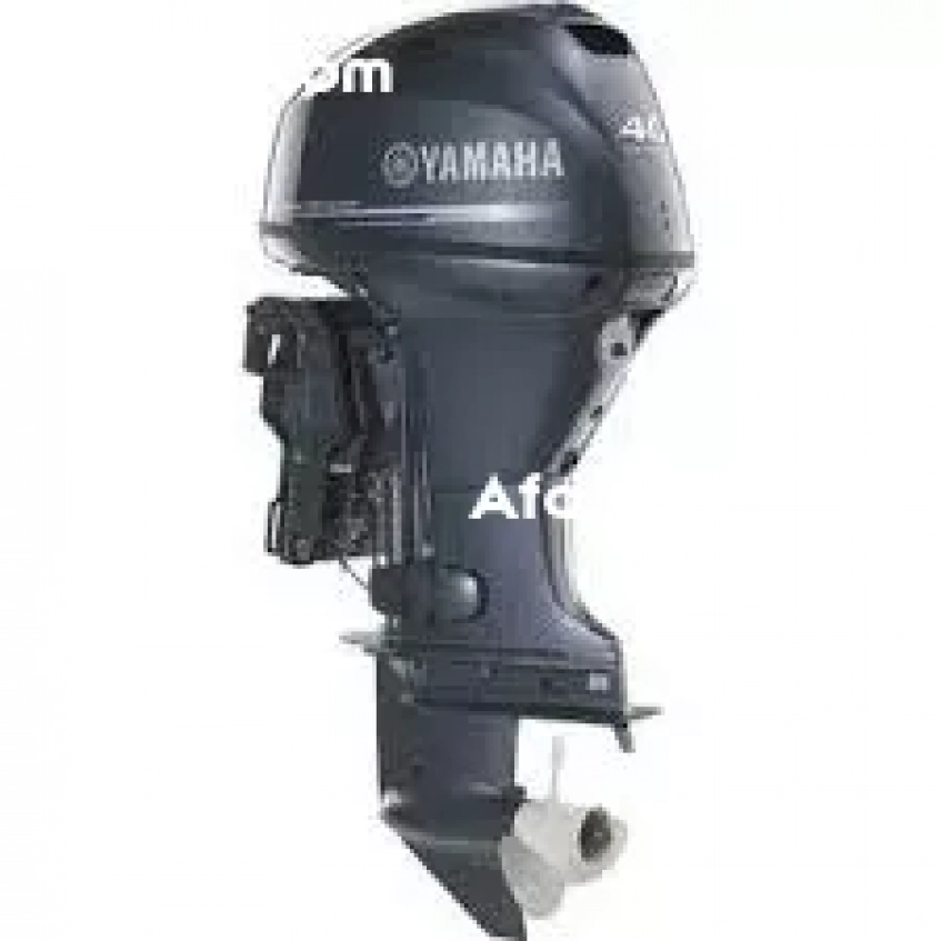 moteur hors bord yamaha 9.9