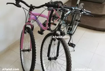 2 vélos frejus importés pour couple